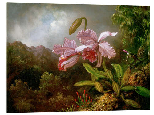 Tableau en verre acrylique Orchidées dans la jungle