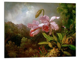 Gallery print Orchids in a Jungle