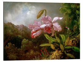 Magnettafel Orchidee in einem Dschungel