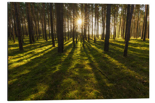 Cuadro de aluminio ray of light