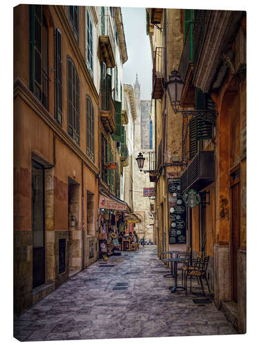 Canvas print Alley in Palma de Mallorca