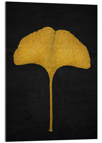 Acrylic print Golden Ginkgo Leaf