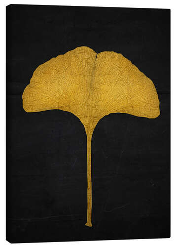 Leinwandbild Goldenes Ginkgoblatt