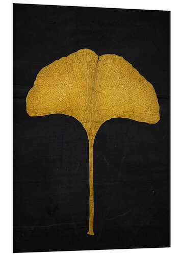 Obraz na PCV Golden Ginkgo Leaf