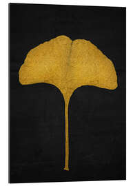 Stampa su plexi-alluminio Foglia di ginkgo dorata