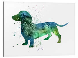 Aluminium print Dachshund dog