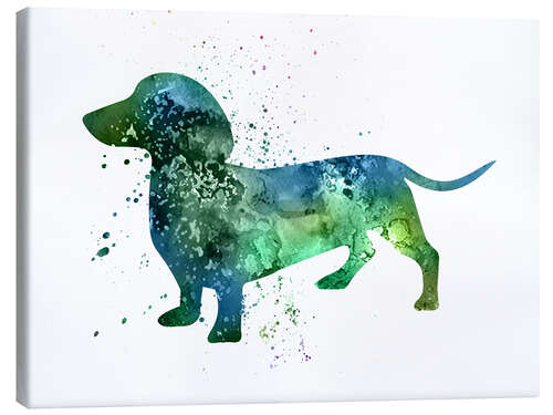 Canvas print Dachshund dog