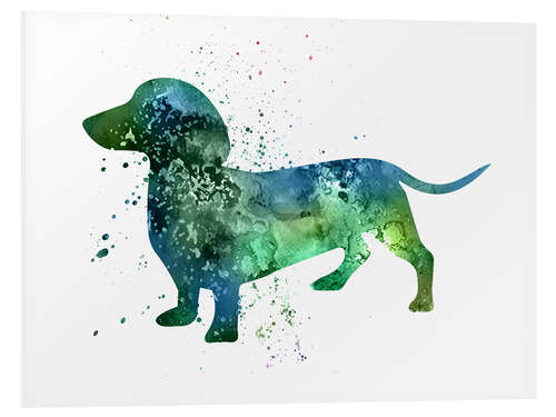 PVC-taulu Dachshund dog