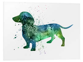 Foam board print Dachshund dog