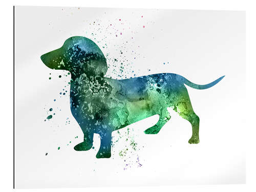 Gallery print Dachshund dog