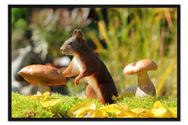 Gerahmter Kunstdruck Eichhörnchen auf Futtersuche I