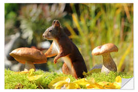 Vinilo para la pared Squirrel Searching for Food I