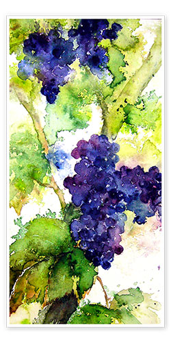 Poster Red grapes