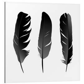 Cuadro de aluminio Three feathers