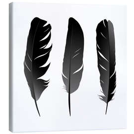 Canvas print  Three feathers