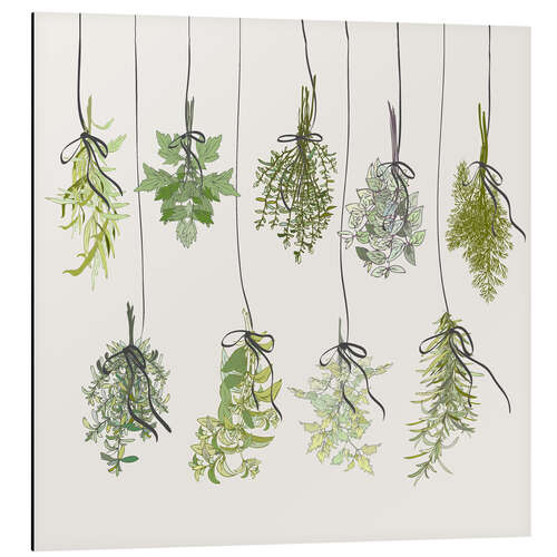 Aluminiumsbilde Herb bouquets