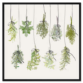 Gerahmter Kunstdruck Kräuter Sträuße