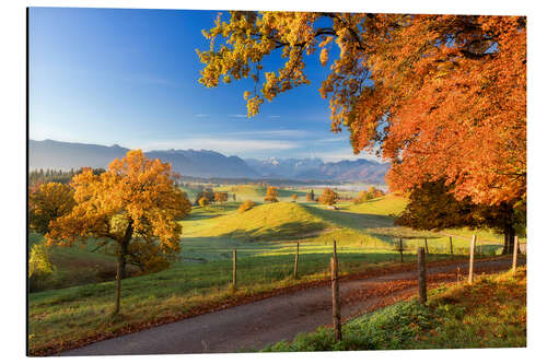 Alubild Herbst in Bayern - Murnauer Moos