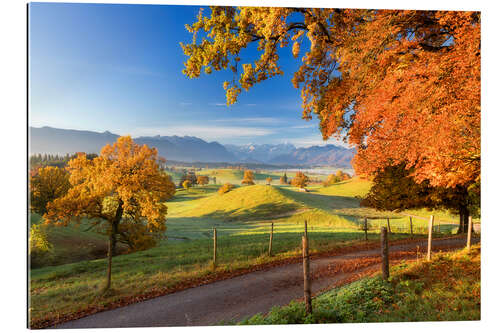 Tableau en plexi-alu Autumn in Bavaria - Murnau