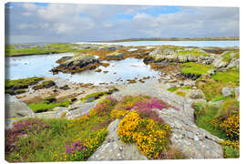 Stampa su tela  Paesaggio irlandese con fiori selvatici