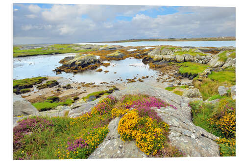 Tableau en PVC Paysage d'Irlande avec des fleurs sauvages