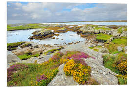 Foam board print Ireland Landscape with wild flowers