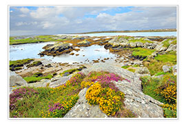 Poster Unberührte Landschaft Irlands mit Wildblumen