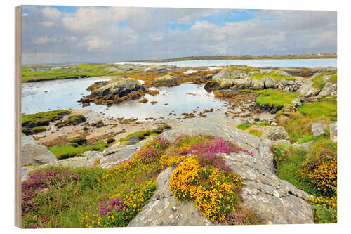 Wood print Ireland Landscape with wild flowers