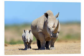 Cuadro de PVC White rhinoceros with young in Kenya, Africa