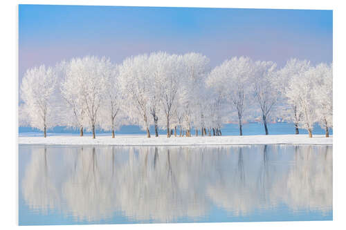 Foam board print Frost-covered oaks