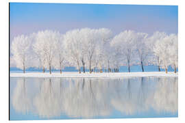 Magnettafel Frostbedeckte Eichen im Spiegelsee