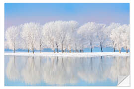 Wall sticker Frost-covered oaks