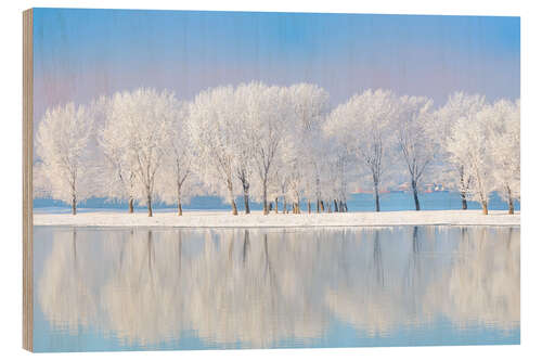 Wood print Frost-covered oaks