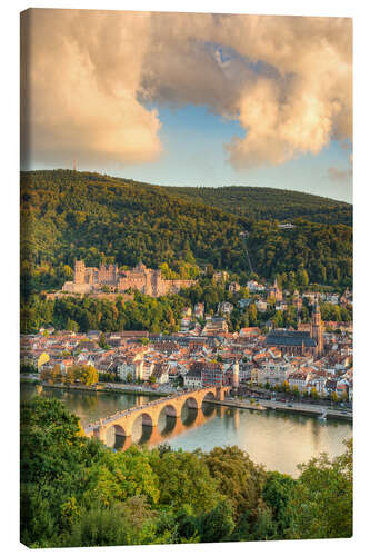 Stampa su tela Heidelberg in the evening sun