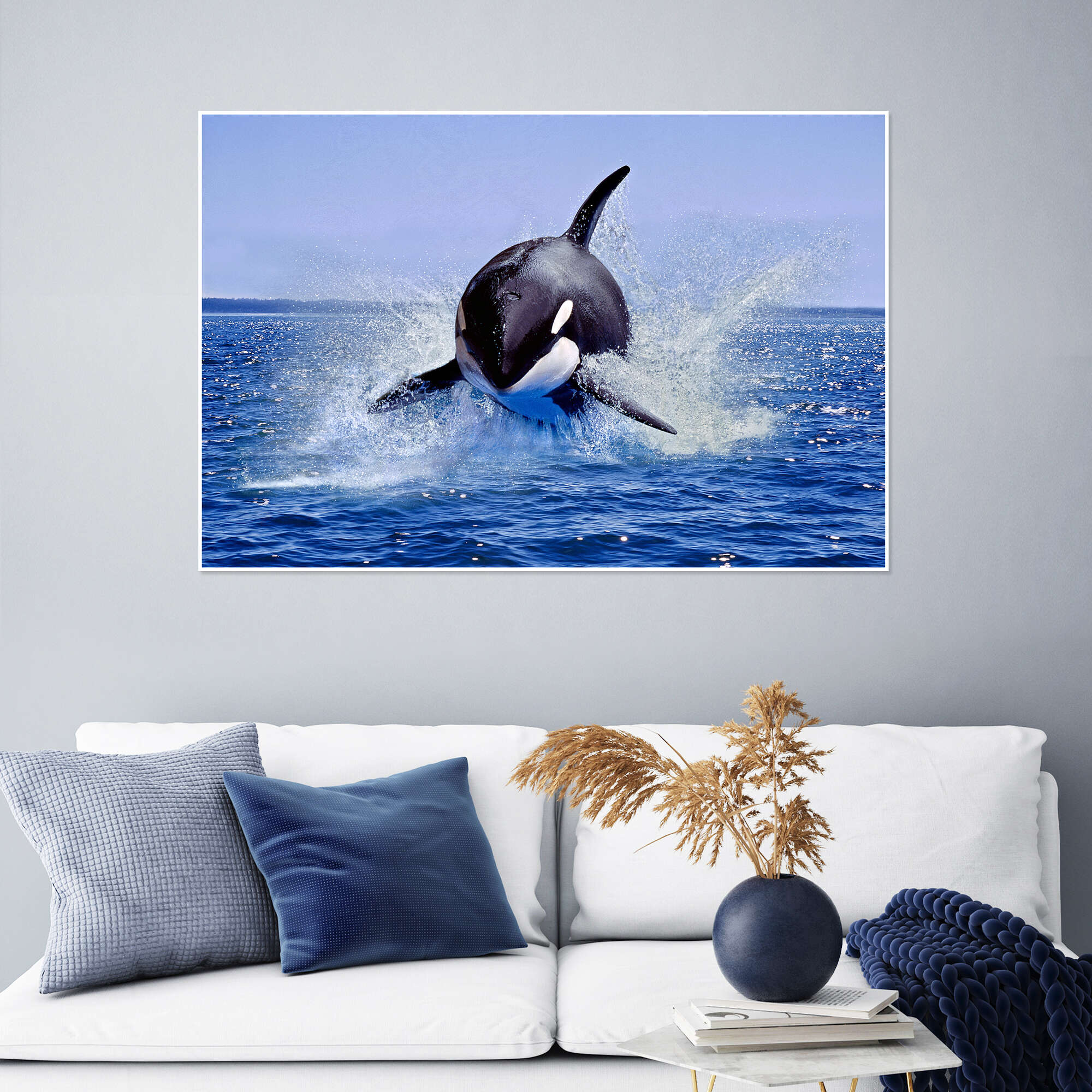 Jump of the orca print by Gérard Lacz | Posterlounge