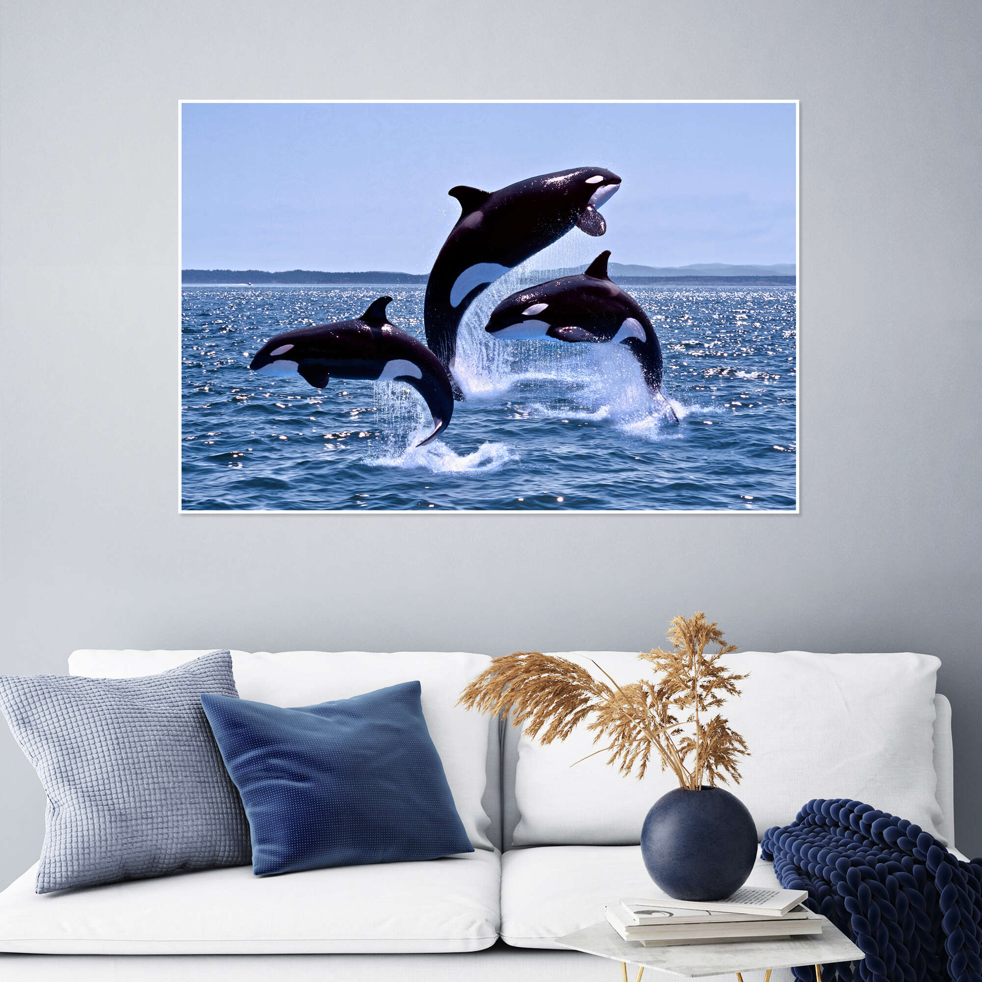 Jumping Orcas print by Gérard Lacz | Posterlounge