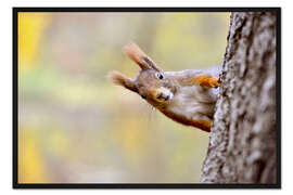 Gerahmter Kunstdruck Eichhörnchen im Stadtpark im Herbst