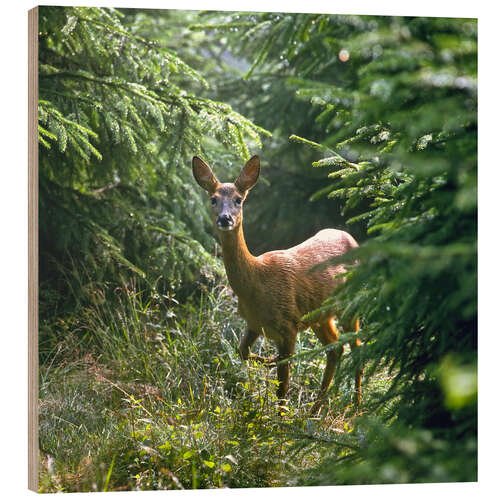 Quadro de madeira The deer in the forest