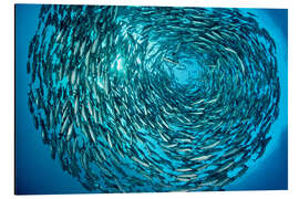 Stampa su alluminio Large shoal of bigeye trevallies