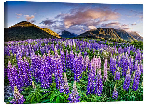 Quadro em tela Lupines at Arthur's Pas