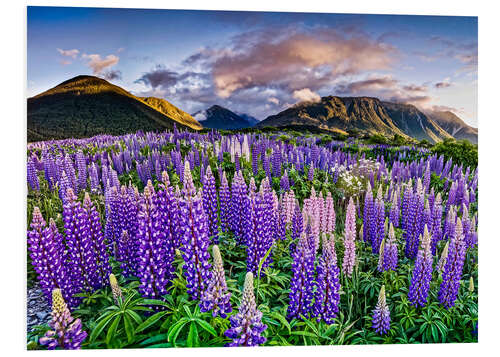 Obraz na PCV Lupines at Arthur's Pas