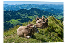 Tableau en PVC Vaches près d'Oberstaufen, Allgäu