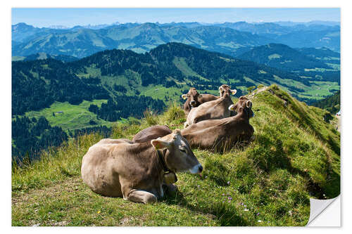 Naklejka na ścianę Cattle near Oberstaufen in the Allgäu