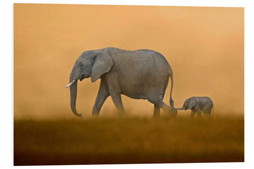 Foam board print In the protection of the mother