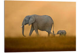 Tableau en plexi-alu Sur les pas de maman