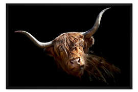 Gerahmter Kunstdruck Schottisches Hochlandrind