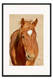 Gerahmter Kunstdruck treuer Blick einer braunen Stute