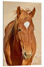 Gallery print faithful look of a brown mare