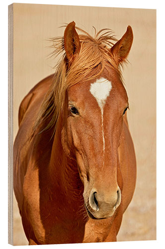 Wood print faithful look of a brown mare