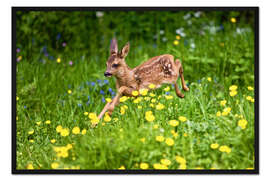 Gerahmter Kunstdruck Rehkitz läuft durch Blumenwiese, Normandie